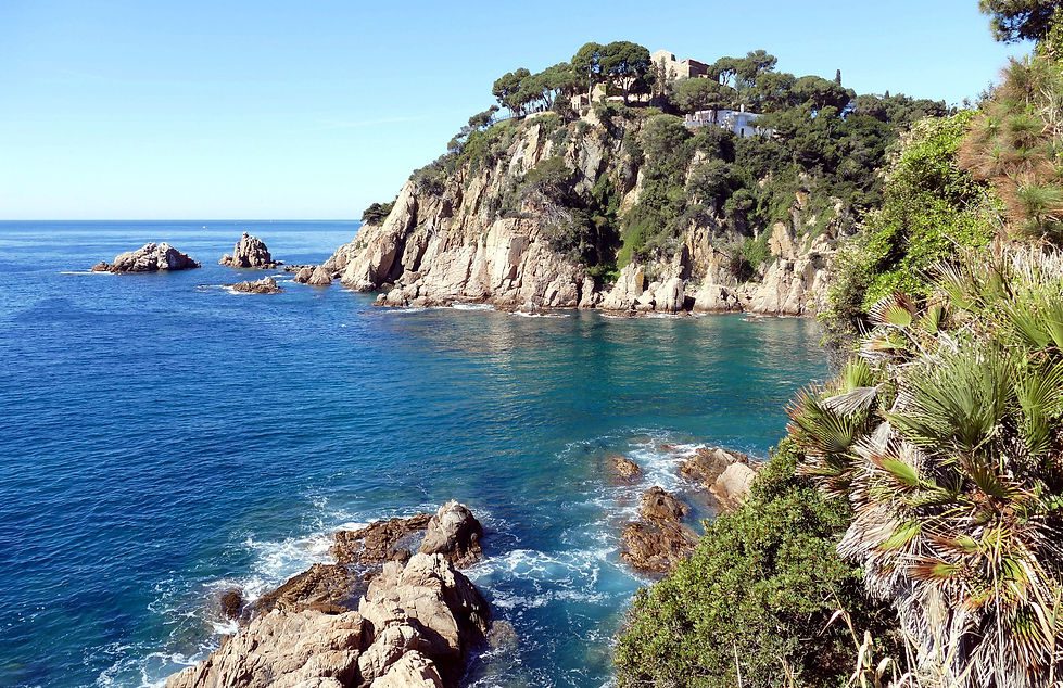 Guided Barcelona Food & Wine Tour