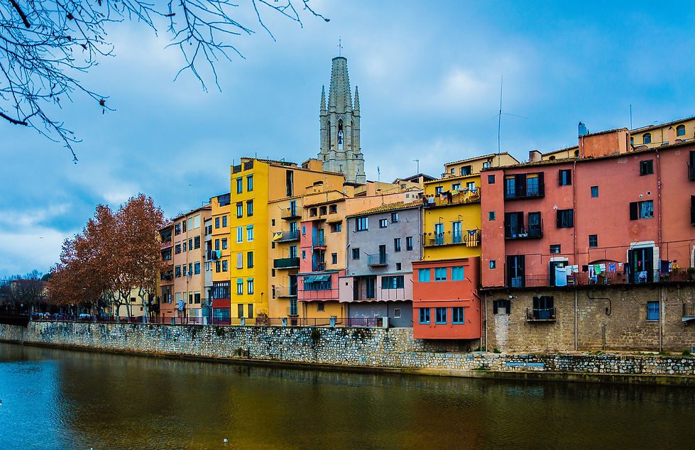 Guided Barcelona Food & Wine Tour