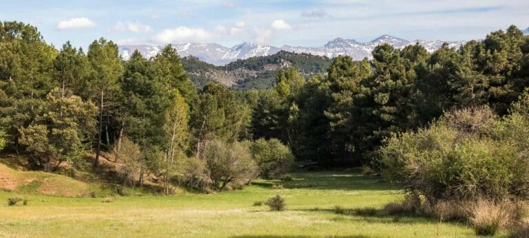 Sierra de Huetor National Park in Granada