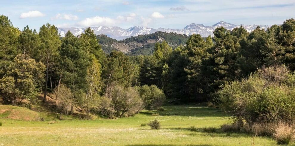 Sierra de Huetor National Park in Granada