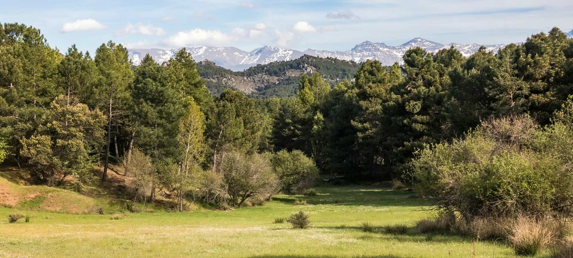 Sierra de Huetor National Park in Granada