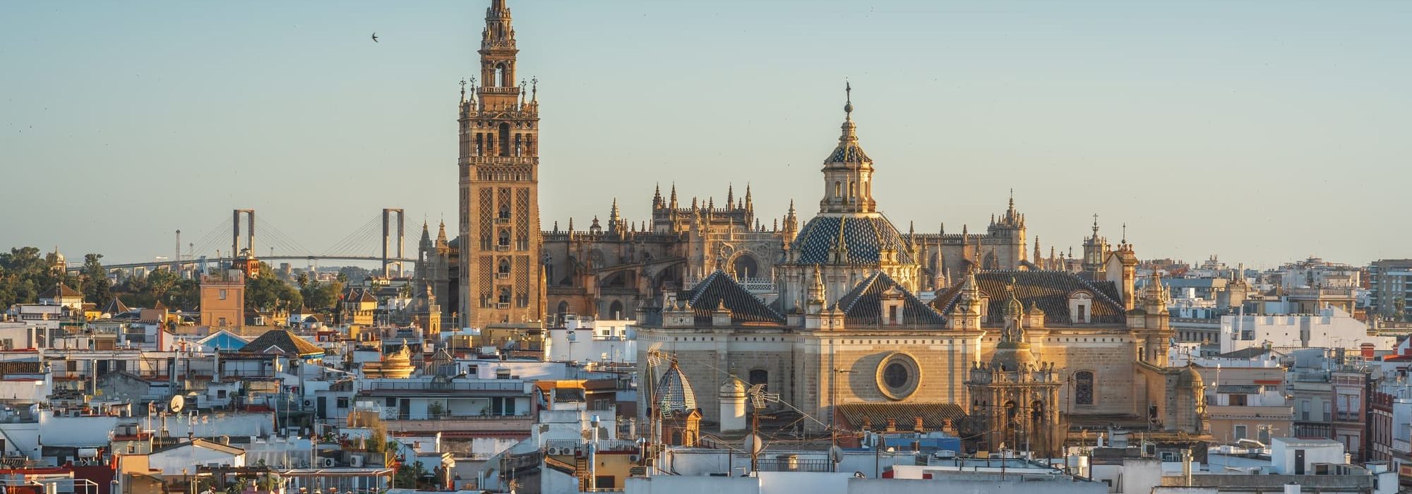 Seville Cathedral - Seville, Andalusia, Spain