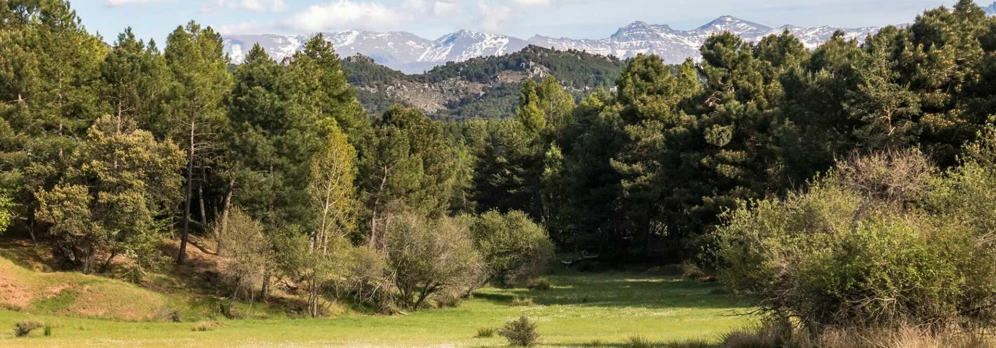 Sierra de Huetor National Park in Granada