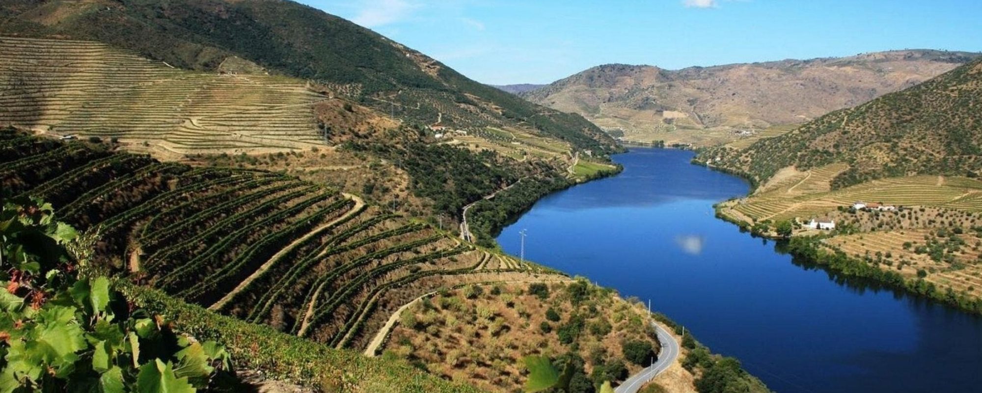 Private Douro Wine Tour from Porto with River Cruise
